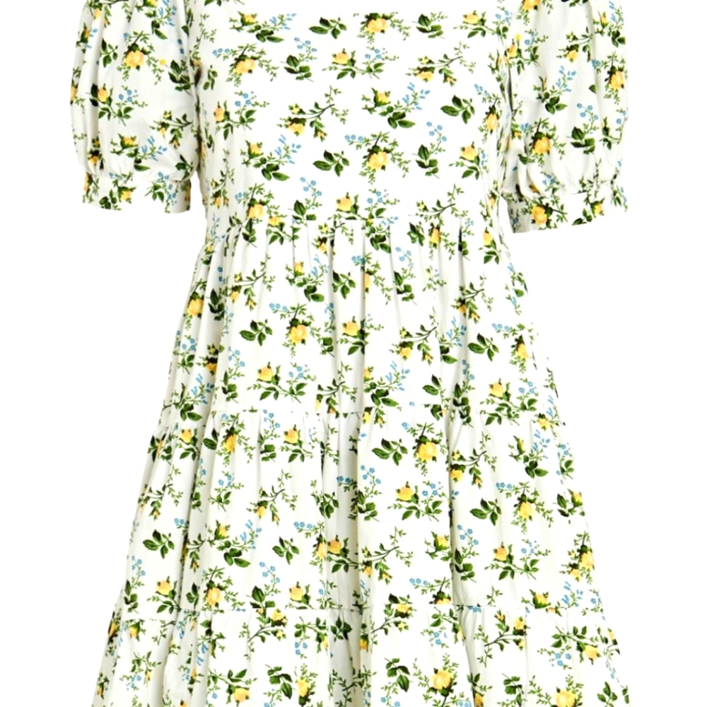 Faithfull the Brand-Mini Dress w/ Short Puffy sleevesByndita Floral Print Size M